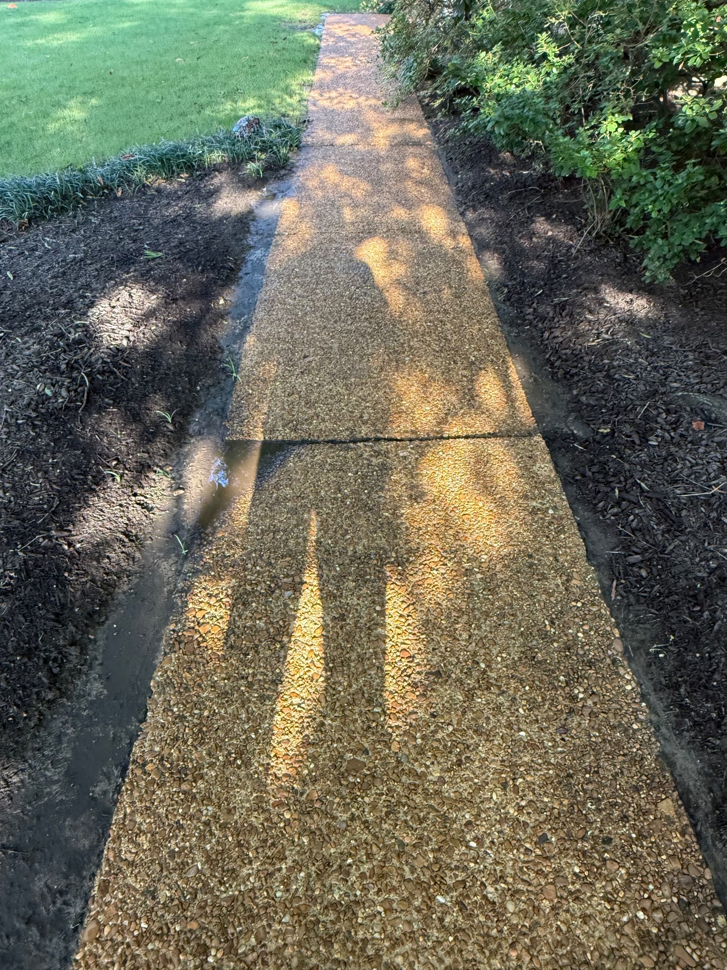 Concrete walkway after pressure washing
