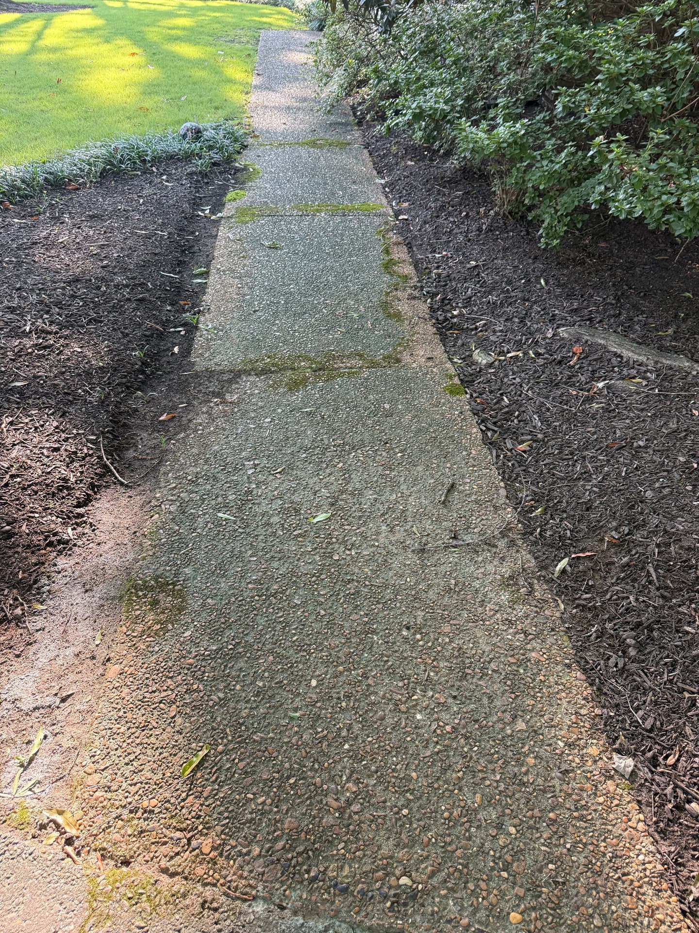 Concrete walkway before pressure washing